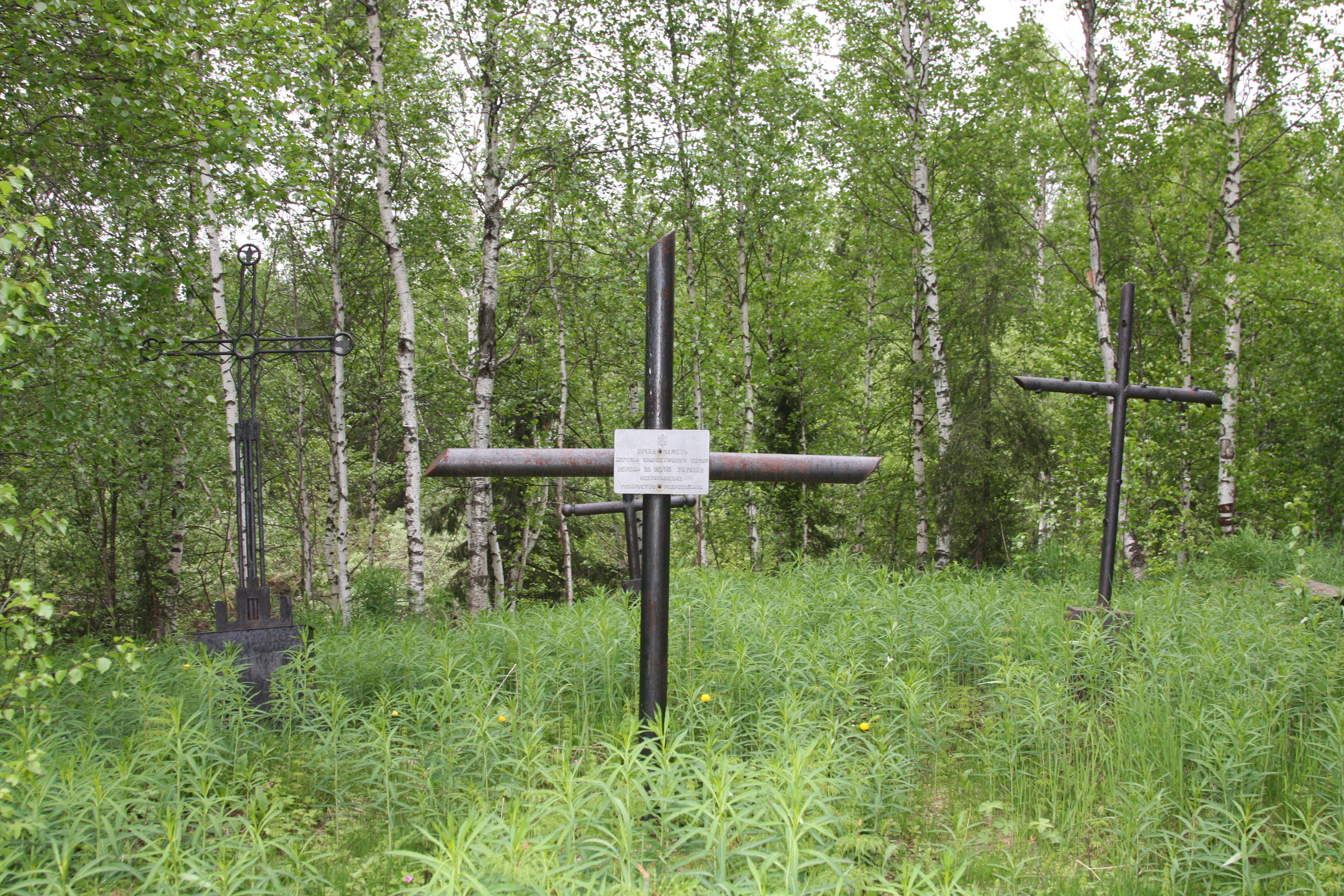 Захоронение заключенных. Республика коми деревня мирный кладбище гулага. Кладбище новочеркасской тюрьмы[120]. 364. Захоронение осужденных.