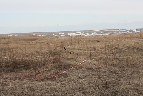 Фотография 2009 года. Предоставлена Г.В.Шавериной 