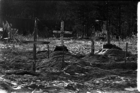 Фотография 1991 года из архива А.Ф.Сухановского