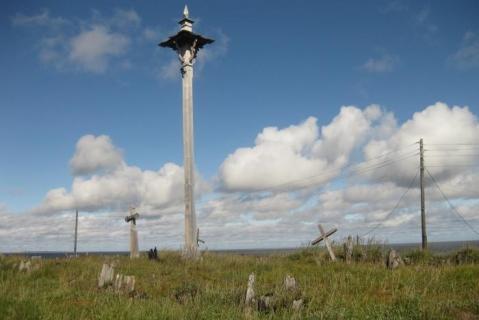 Фотография 2012 года. Источник: http://www.hunting.ru/reports/view/69870/